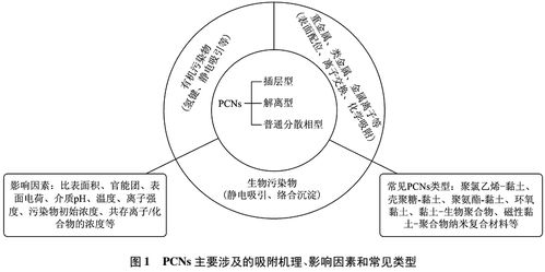 聚合物/黏土納米復(fù)合材料在污水處理中的應(yīng)用及研究進展