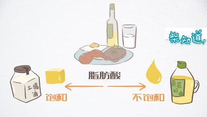 脂肪酸 從身體燃料到生命之基的全面解讀